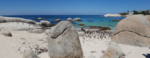 South Africa 2019