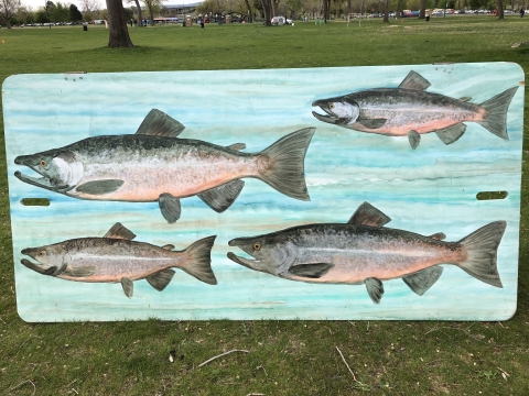 salmon art on a wooden panel