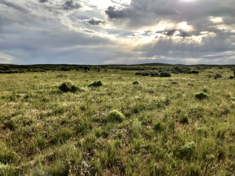 sunbeams coming through clouds over sagebrush lands in Colorado