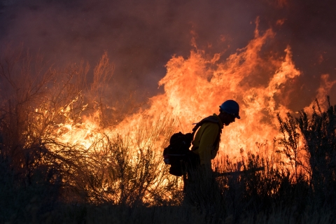 A firefighter is silhouetted in the dark walking along a fireline with orange flames in the background