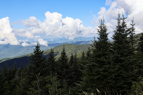 Mountain view of rolling, forest-covered peaks