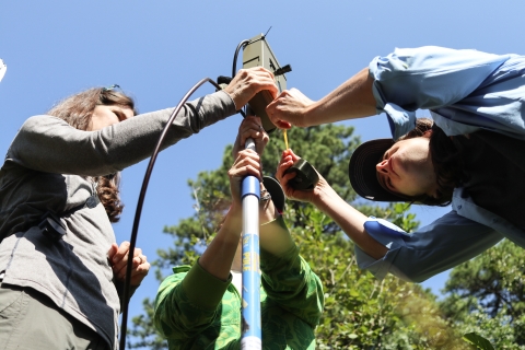 Three biologists standing around a pole, mounting a metal box to it