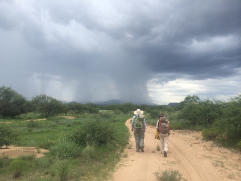 Image of 2 researchers walking up a dirt path with a monsoon in the distance