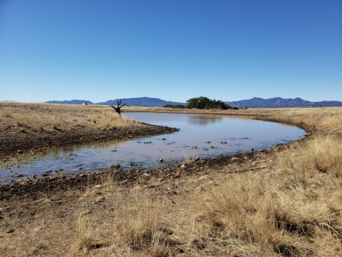 A winding body of water surrounded by brown grasses on either side