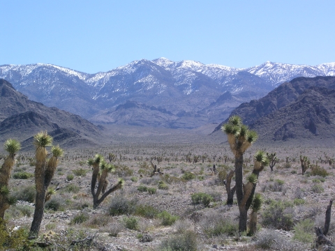A desert with mountains in the background