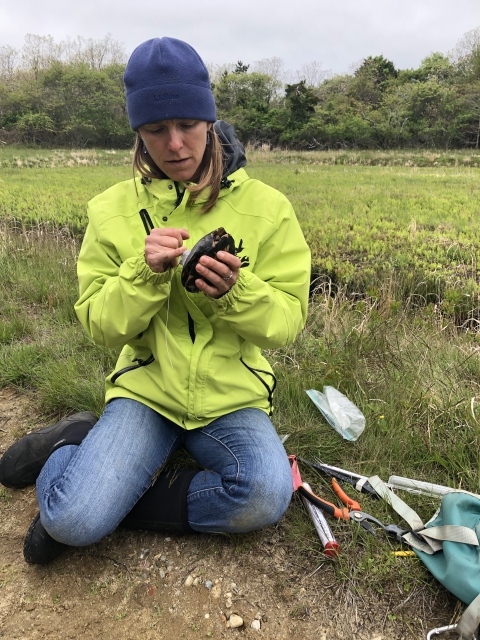 a woman wearing a blue hat and green jacket holds a turtle and places an antenna on its shell