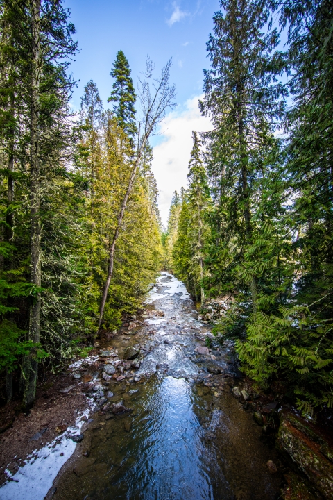 Myrtle Creek flows out of the Selkirk Mountains