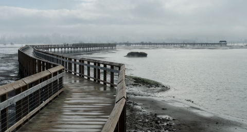 Wet boardwalk extending into distance with gray clouds and gray water