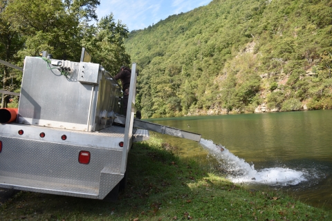 A man stands on a stocking truck, releasing fish into a lake next to a mountain.