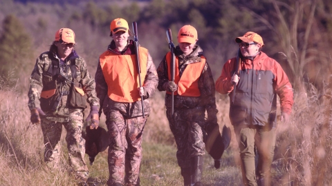 Four hunters in blaze orange walking after a pheasant hunt