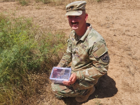 A person in military fatigues crotches on the dusty ground holding a box with a lizard