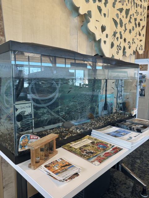 An aquarium sits on a white table with brochures/flyers in front