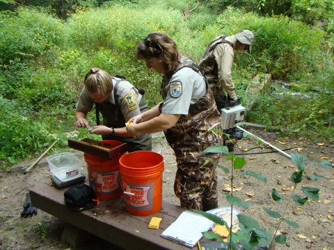 Three people wearing waders surrounded by various scientific equipment. Two of them are hunched over buckets and appear to be looking at something.