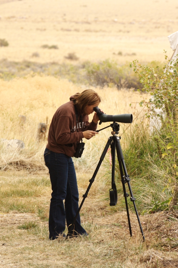 Wildlife watching at Benson Pond
