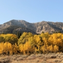 Early Autumn sunrise with yellow aspens at the base of the mountains