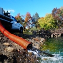 Water and fish being expelled from a large, orange hose from a white distribution truck into a green body of water.