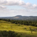 Rolling hills full of grasslands and trees