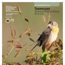 An image of the cover for the bird brochure.