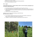 Two people working to remove invasive species