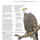 Delisting a Species: Section 4 of the Endangered Species Act