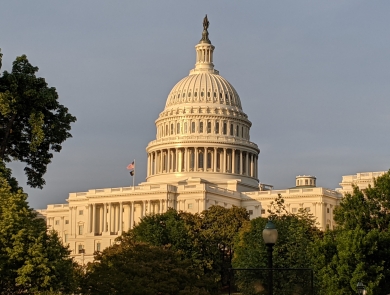 U.S. Capitol building in the sun with tops of trees in foreground