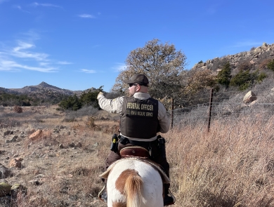 a law enforcement office on horseback ahead leads a horse with the photographer