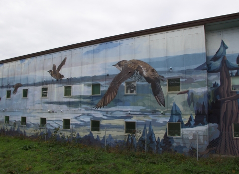 Small, chubby marbled murrelets fly over a coastal landscape consisting of redwoods and ocean coves in this mural painted by Lucas Thornton in Arcata, CA
