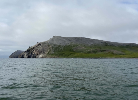 Crowbill Point, covered in green and grey with grass and dirt, stretches into the blue waves of the Chukchi Sea.