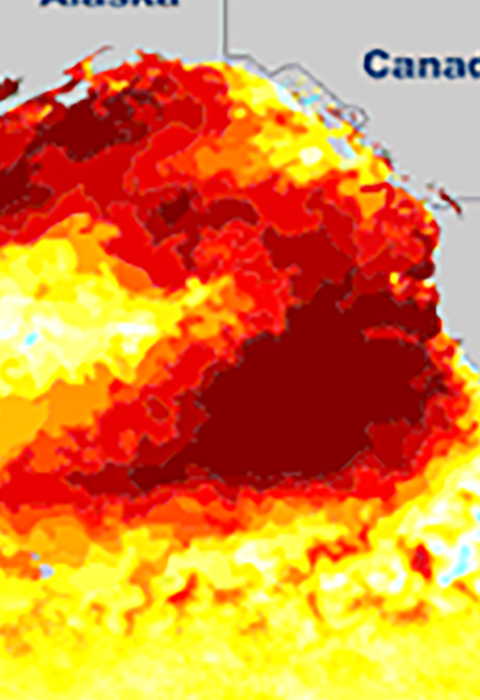 Blob map banner