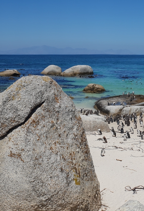 South Africa 2019