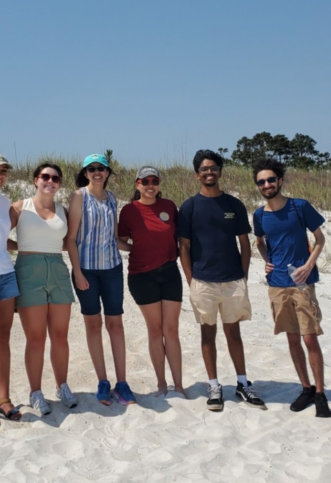 People standing on beach