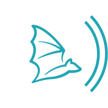 Illustration of bat with text reading "Bat Conservation International."