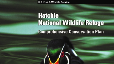 An image of the cover for the comprehensive conservation plan.