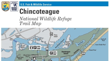 Front page of the trail map for Chincoteague National Wildlife Refuge