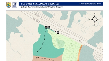 Cedar Bonnet Island Trail Map