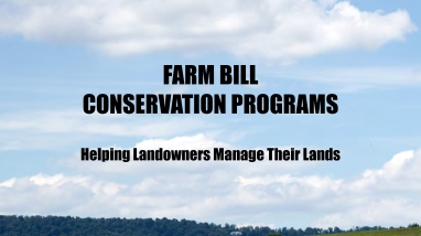 Farm Bill Brochure cover page with a farm and blue skies in the background.