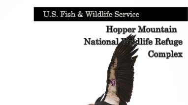 2019 Annual HMNWRC Field Report.pdf
