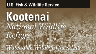 Kootenai NWR - Watchable Wildlife