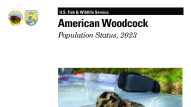 American Woodcock Population Status, 2023