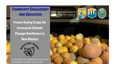 Freeze Drying Crops Handout