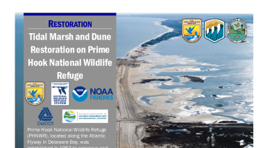 Tidal Marsh Case Study Handout