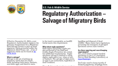 Regulatory Authorization - Salvage of Migratory Birds