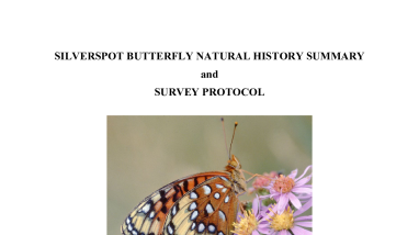 Silverspot Butterfly Natural History Summary and Survey Protocol