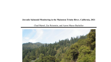 Juvenile Salmonid Monitoring in the Mainstem Trinity River, California, 2021