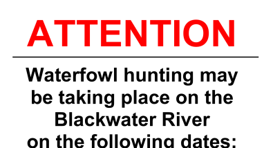Blackwater NWR 2026-27 Waterfowl Hunt Alert