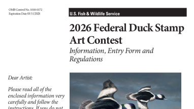 Federal Duck Stamp Art Contest Regulations