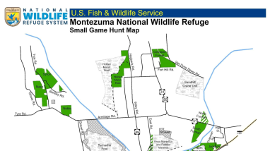 Small Game Hunting Regulations/Montezuma NWR 2026