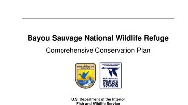Bayou Sauvage National Wildlife Refuge Comprehensive Conservation Plan