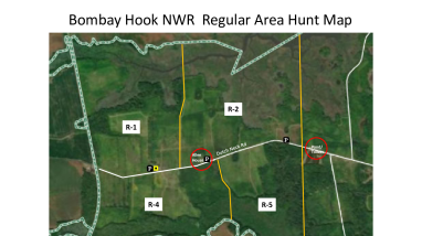 Bombay Hook Regular Area Hunt map