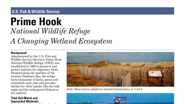 ChangingWetlands.pdf